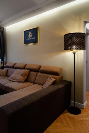 Cozy Flat - Grivitei